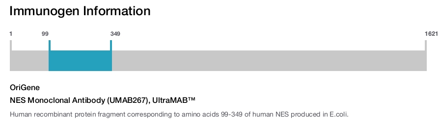NES Monoclonal Antibody (UMAB267), UltraMAB&trade;