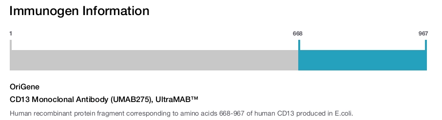 CD13 Monoclonal Antibody (UMAB275), UltraMAB&trade;
