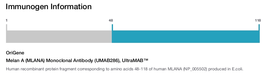 Melan A (MLANA) Monoclonal Antibody (UMAB286), UltraMAB&trade;