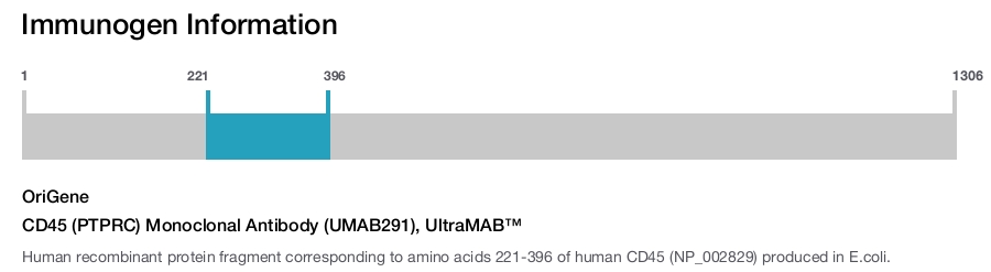 CD45 (PTPRC) Monoclonal Antibody (UMAB291), UltraMAB&trade;