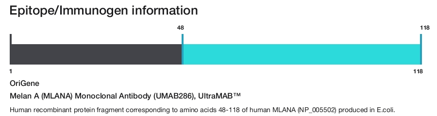 Melan A (MLANA) Monoclonal Antibody (UMAB286), UltraMAB&trade;