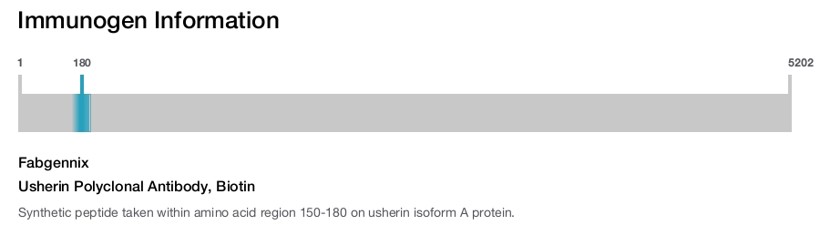 Usherin Polyclonal Antibody, Biotin