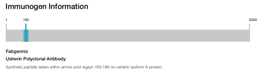 Usherin Polyclonal Antibody