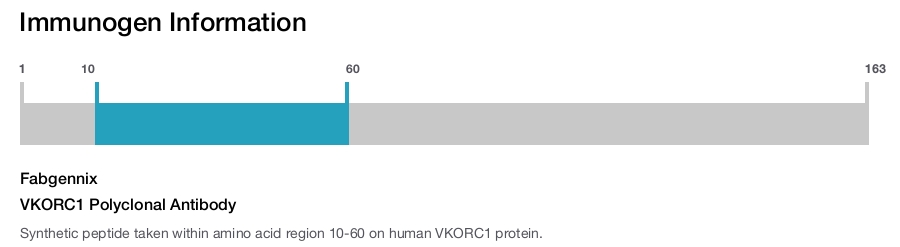 VKORC1 Polyclonal Antibody