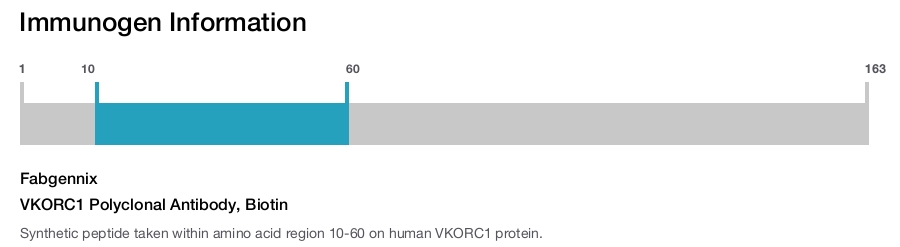 VKORC1 Polyclonal Antibody, Biotin