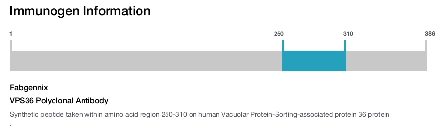 VPS36 Polyclonal Antibody