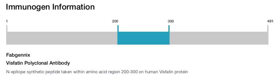 Visfatin Polyclonal Antibody