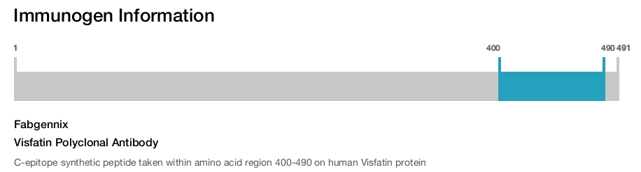 Visfatin Polyclonal Antibody