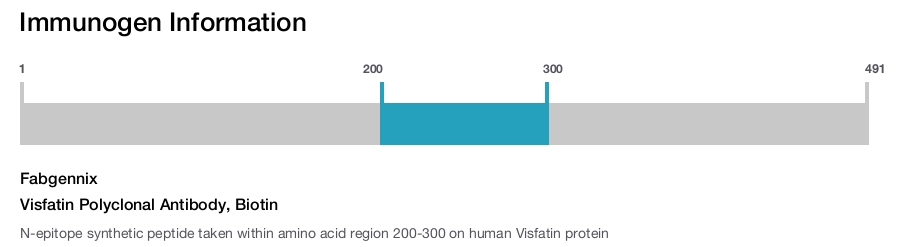 Visfatin Polyclonal Antibody, Biotin