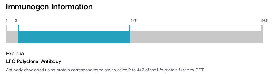 LFC Polyclonal Antibody