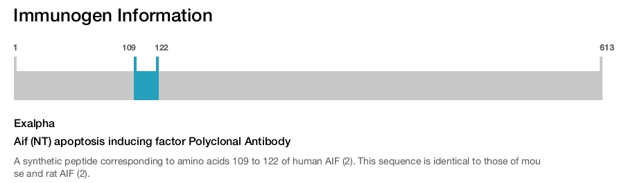 Aif (NT) apoptosis inducing factor Polyclonal Antibody