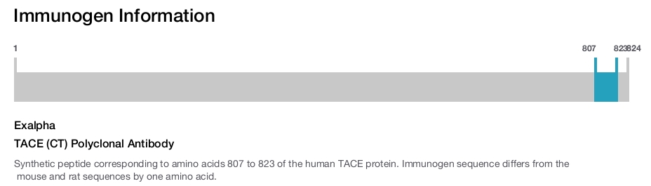 TACE (CT) Polyclonal Antibody