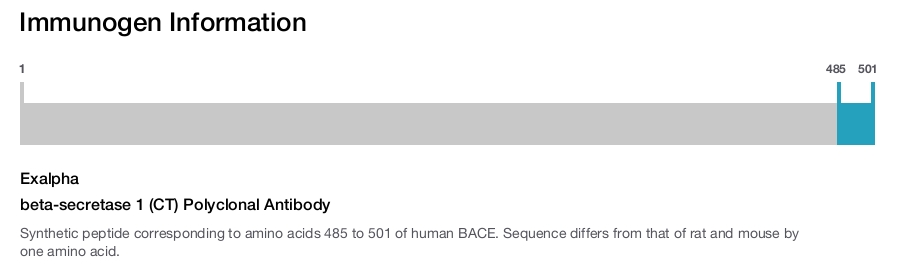 beta-secretase 1 (CT) Polyclonal Antibody