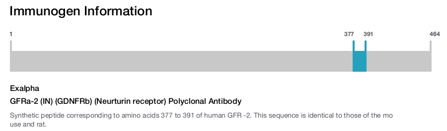 GFRa-2 (IN) (GDNFRb) (Neurturin receptor) Polyclonal Antibody