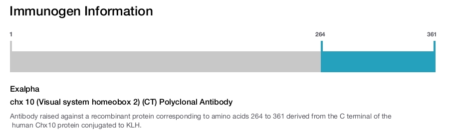 chx 10 (Visual system homeobox 2) (CT) Polyclonal Antibody