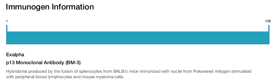 p13 Monoclonal Antibody (BM-3)