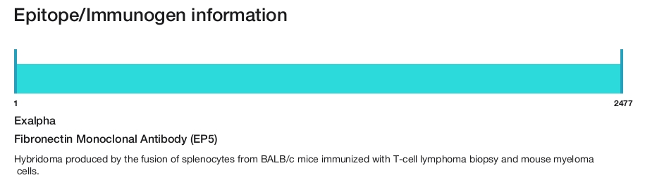 Fibronectin Monoclonal Antibody (EP5)