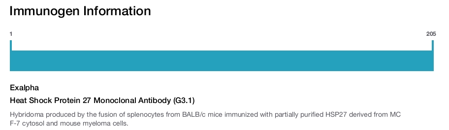 Heat Shock Protein 27 Monoclonal Antibody (G3.1)