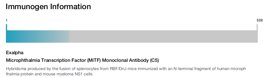 Microphthalmia Transcription Factor (MiTF) Monoclonal Antibody (C5)