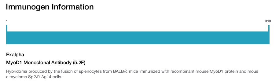 MyoD1 Monoclonal Antibody (5.2F)