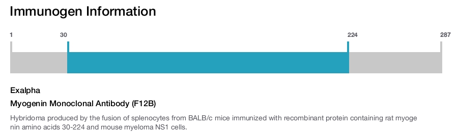 Myogenin Monoclonal Antibody (F12B)