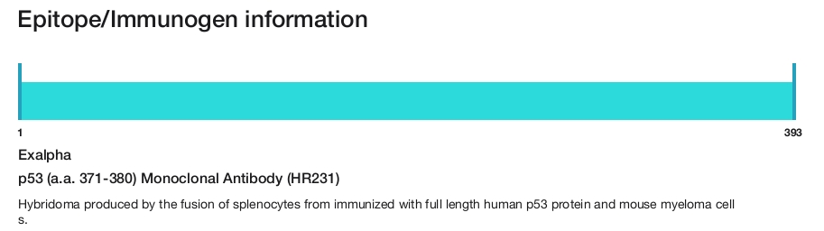 p53 (a.a. 371-380) Monoclonal Antibody (HR231)