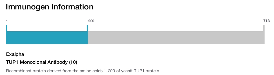 TUP1 Monoclonal Antibody (10)
