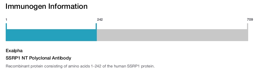 SSRP1 NT Polyclonal Antibody