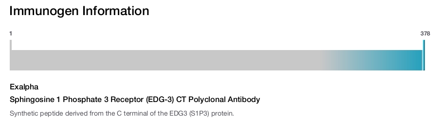 Sphingosine 1 Phosphate 3 Receptor (EDG-3) CT Polyclonal Antibody