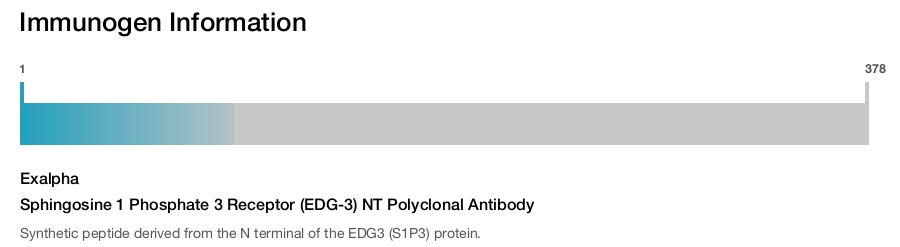 Sphingosine 1 Phosphate 3 Receptor (EDG-3) NT Polyclonal Antibody