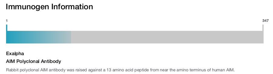 AIM Polyclonal Antibody