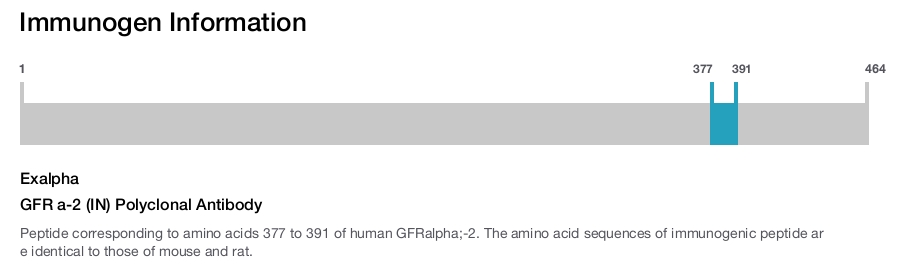 GFR a-2 (IN) Polyclonal Antibody