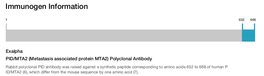 PID/MTA2 (Metastasis associated protein MTA2) Polyclonal Antibody