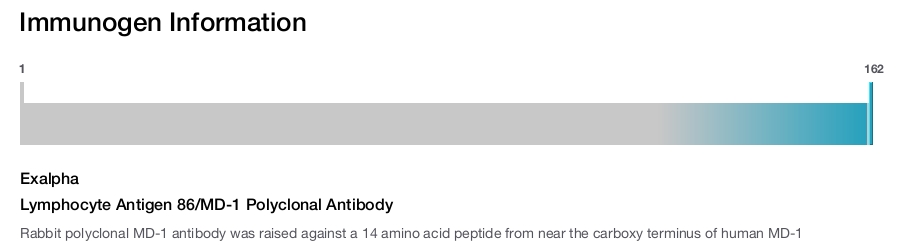Lymphocyte Antigen 86/MD-1 Polyclonal Antibody