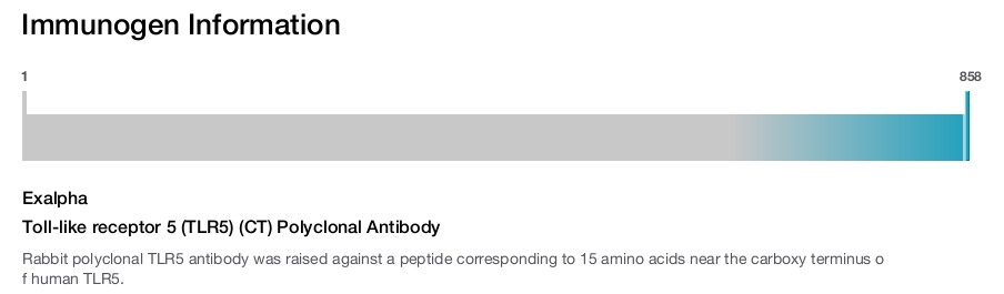 Toll-like receptor 5 (TLR5) (CT) Polyclonal Antibody