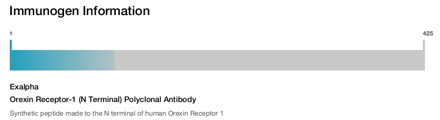 Orexin Receptor-1 (N Terminal) Polyclonal Antibody