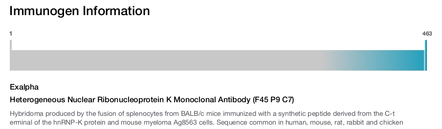 Heterogeneous Nuclear Ribonucleoprotein K Monoclonal Antibody (F45 P9 C7)