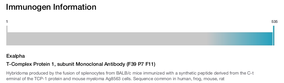 T-Complex Protein 1, subunit Monoclonal Antibody (F39 P7 F11)