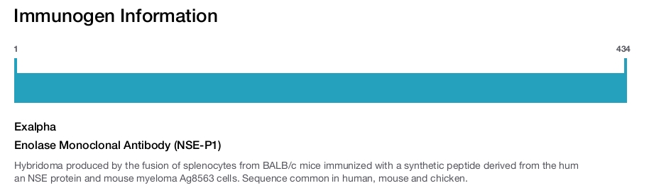 Enolase Monoclonal Antibody (NSE-P1)