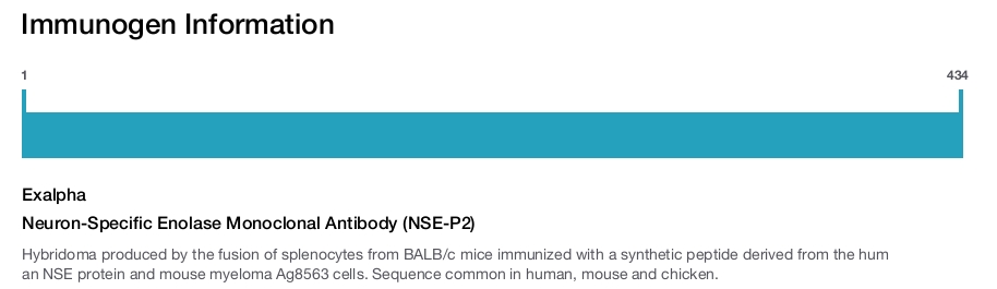 Neuron-Specific Enolase Monoclonal Antibody (NSE-P2)