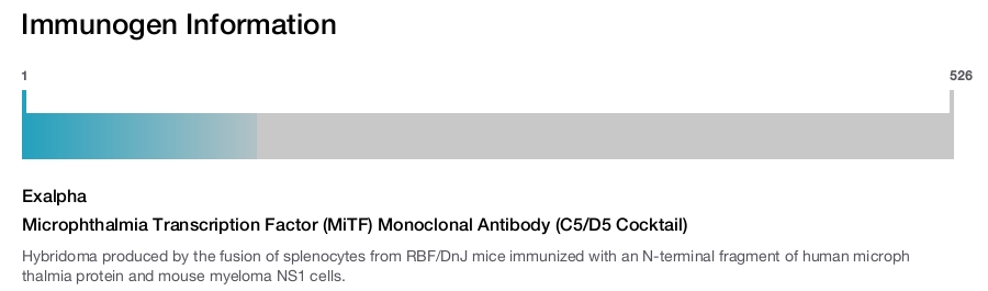 Microphthalmia Transcription Factor (MiTF) Monoclonal Antibody (C5/D5 Cocktail)