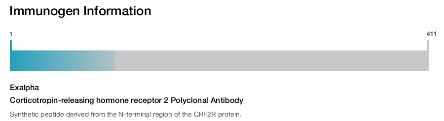 Corticotropin-releasing hormone receptor 2 Polyclonal Antibody