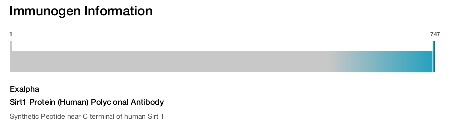 Sirt1 Protein (Human) Polyclonal Antibody