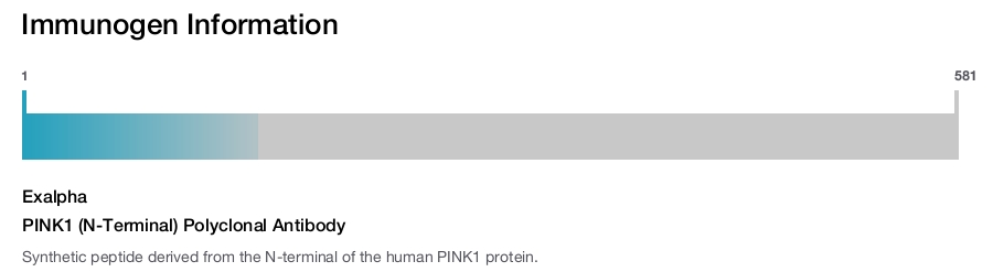 PINK1 (N-Terminal) Polyclonal Antibody