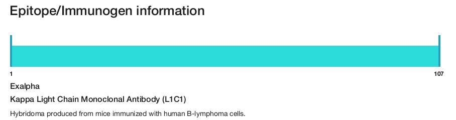Kappa Light Chain Monoclonal Antibody (L1C1)