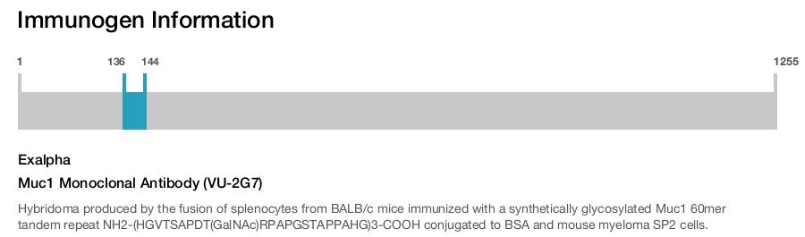 Muc1 Monoclonal Antibody (VU-2G7)