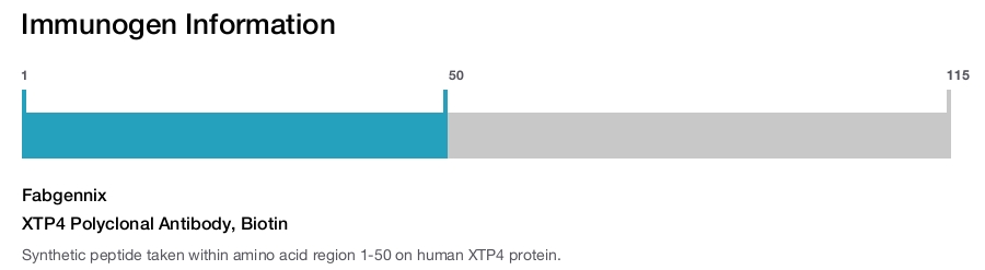XTP4 Polyclonal Antibody, Biotin