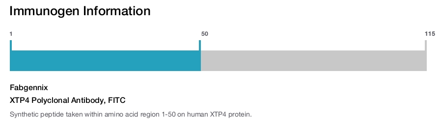 XTP4 Polyclonal Antibody, FITC