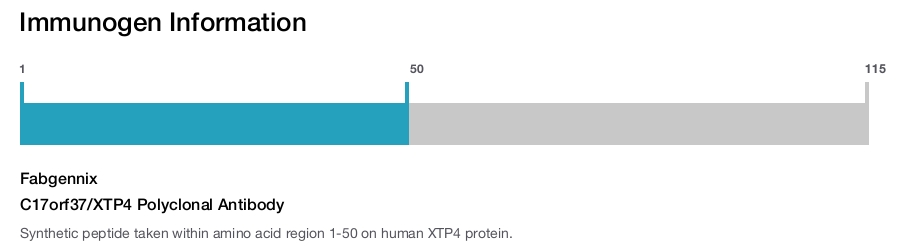 C17orf37/XTP4 Polyclonal Antibody