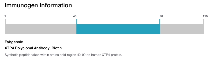 XTP4 Polyclonal Antibody, Biotin